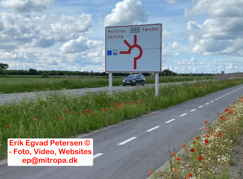 Cykelstien ved Adelvad i Tønder Kommune er nok landets smukkeste i disse dage
