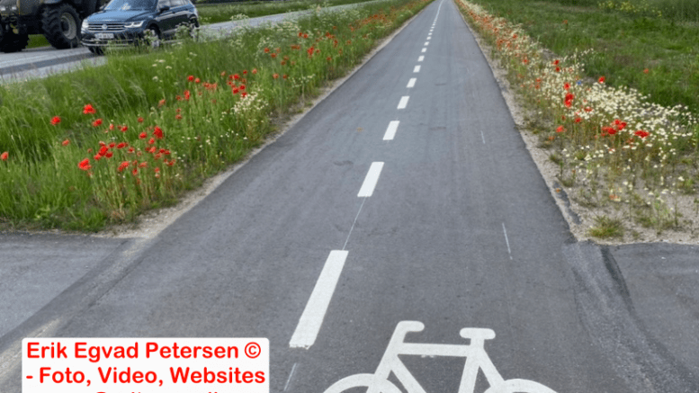 Cykelstien ved Adelvad i Tønder Kommune er den smukkeste