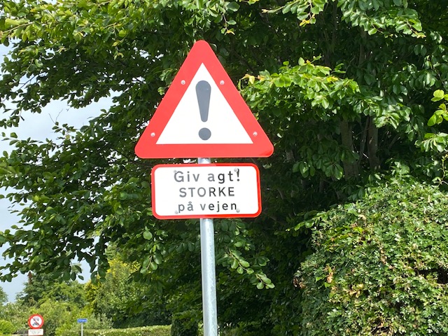 Ingen tvivl om at der er storke i Jejsing i år. Foto: Erik Egvad Petersen - www.sydnyt.dk